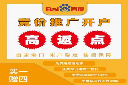 百度竞价排名实战：关键词优化与广告投放策略案例